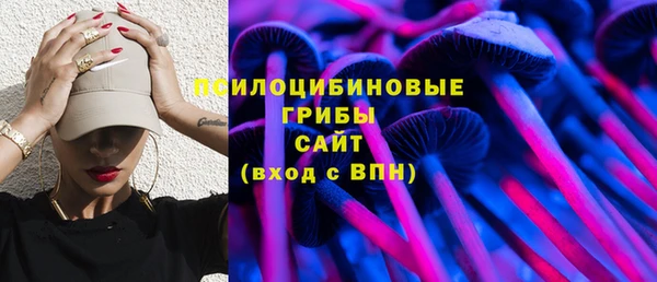 ешки Бронницы